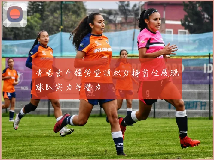 香港金牛强势登顶积分榜首位展现球队实力与潜力