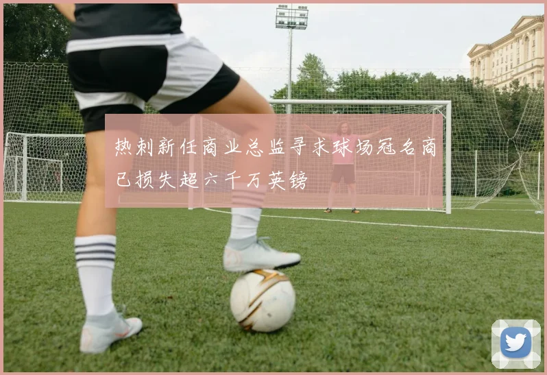 热刺新任商业总监寻求球场冠名商已损失超六千万英镑