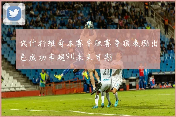 武什科维奇本赛季联赛争顶表现出色成功率超90未来可期