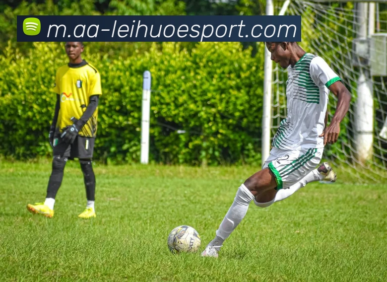 雷火电竞发展历程